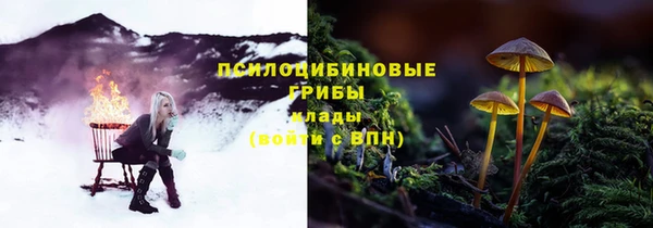 бошки Мегион