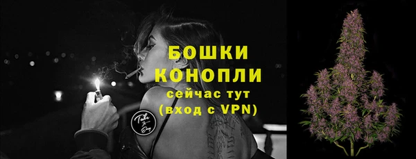 бошки Мегион