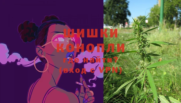 бошки Мегион
