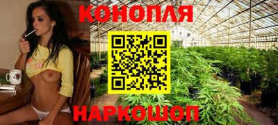 дмт Донской