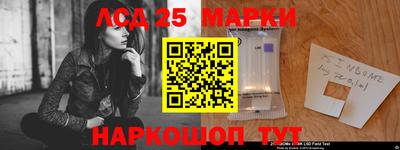 дмт Донской