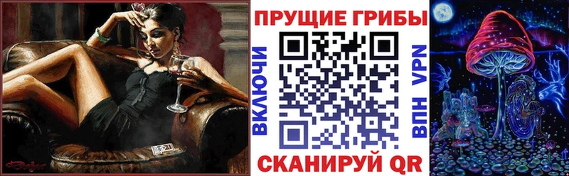 купить закладку Кашира Псилоцибиновые грибы GOLDEN TEACHER