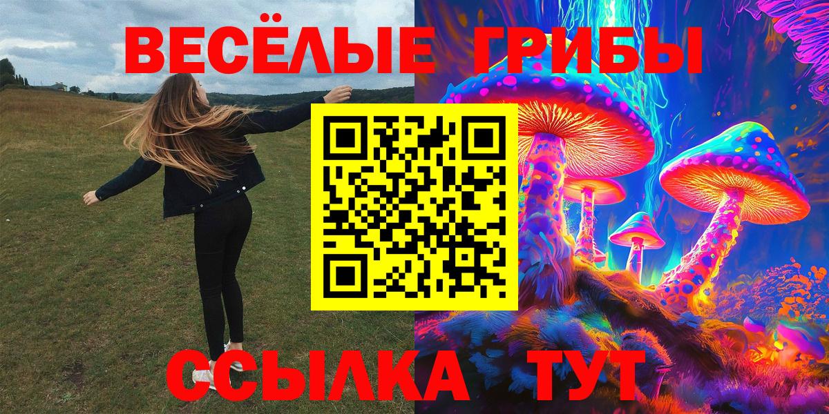 купить наркотики цена  Вход с VPN  Кашира  Галлюциногенные грибы Psilocybe  Галлюциногенные грибы MAGIC MUSHROOMS 